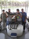 (06/02/2010) - Nice Striped Bass